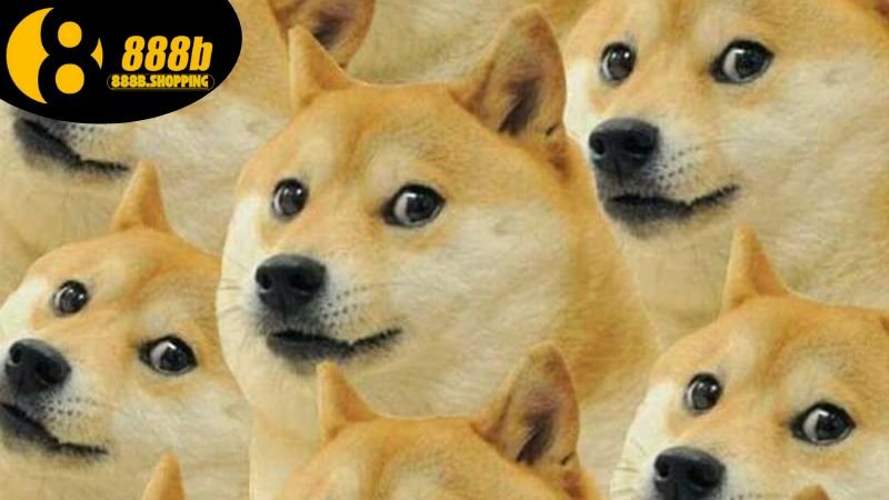 Mơ Thấy Chó Đánh Con Gì? Con Số May Mắn Trong Lô Đề 4 mo-thay-cho-danh-con-gi-3