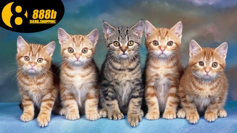 Mơ Thấy Mèo - Khám Phá Ý Nghĩa Và Những Dấu Hiệu Từ Giấc Mơ 2 mo-thay-meo-1