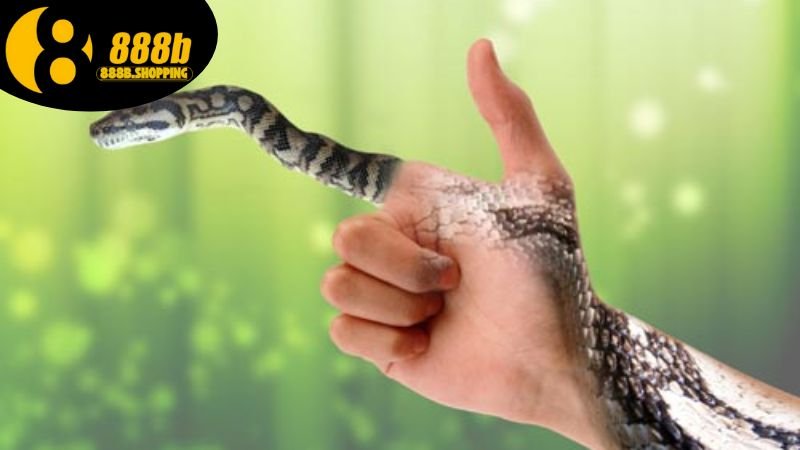 Mơ Thấy Rắn - Khám Phá Ý Nghĩa Và Những Con Số May Mắn 3 mo-thay-ran-2
